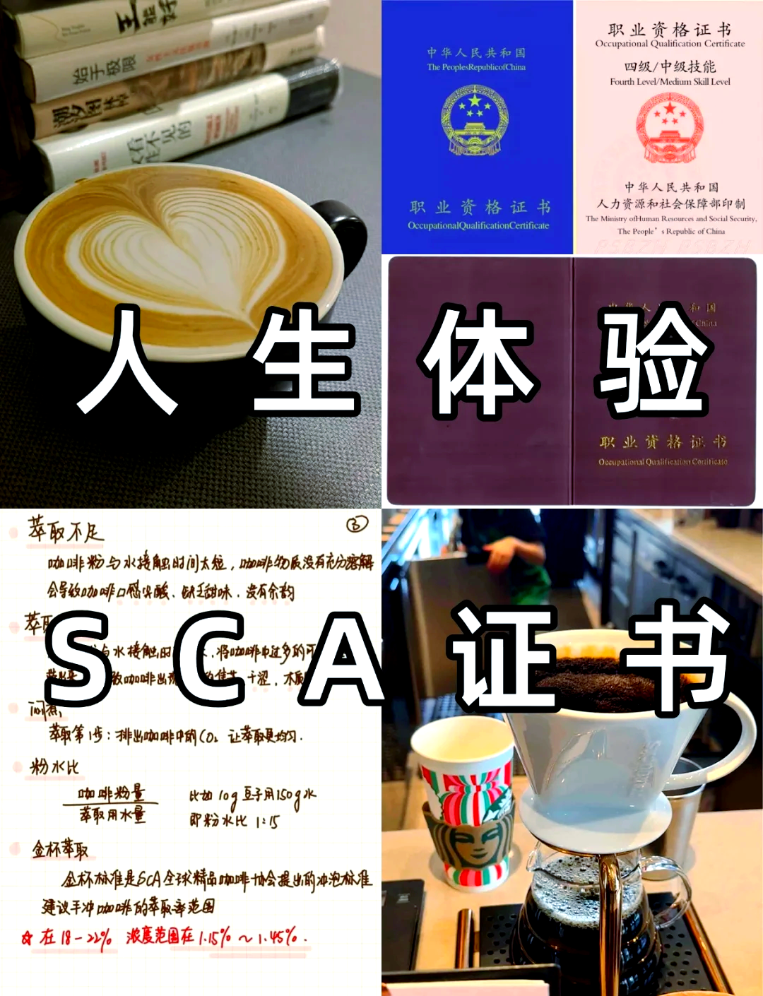 详细阅读:pca咖啡师认证(pca咖啡师认证含金量) pca咖啡师认证(pca咖啡师认证含金量)